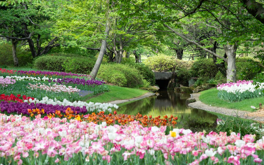 Een levendige tuin creëren met een perfecte aanbouw